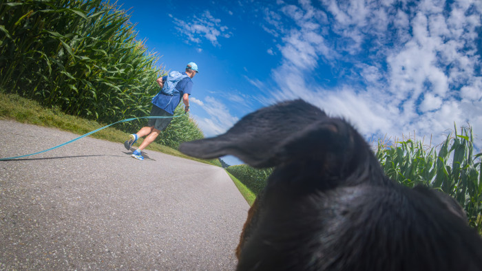Hier ist die Go Ultra mit Charly am Halsband mitgelaufen (Bild bearbeitet). (Foto: Steinlechner / Golem)