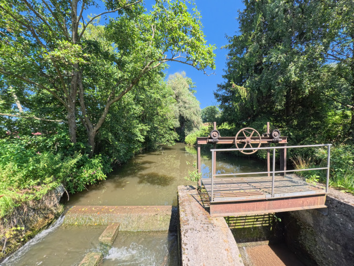 Dewarp sieht fast schon normal aus. (Foto: Steinlechner / Golem)