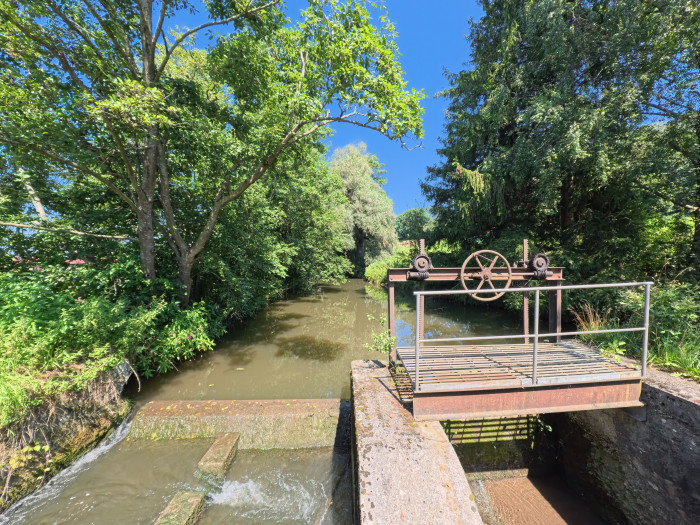In Linear hat die KI die meisten Krümmungen weggerechnet. (Foto: Steinlechner / Golem)