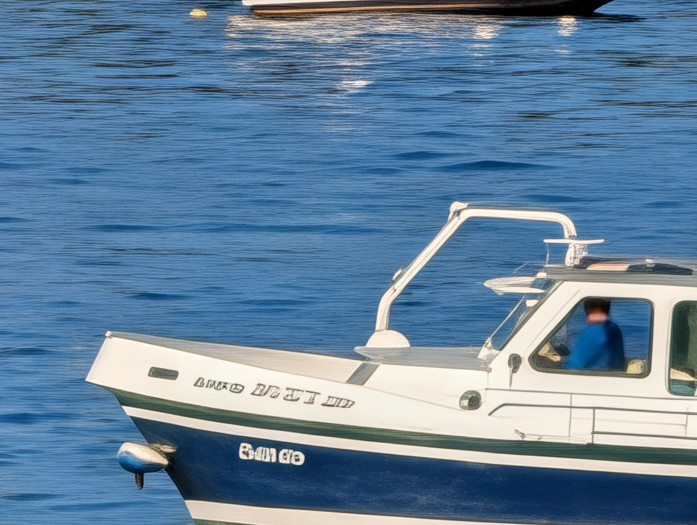 Der KI-Zoom der Pro-Modelle liefert bei voller 100-facher Vergrößerung Ergebnisse, die arg nach KI-Bilder von vor ein paar Jahren aussehen. (Bild: Tobias Költzsch/Golem)