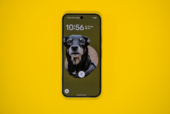 Das Pixel 10 Pro hat ebenfalls einen 6,3 Zoll großen Bildschirm. (Bild: Tobias Költzsch/Golem)
