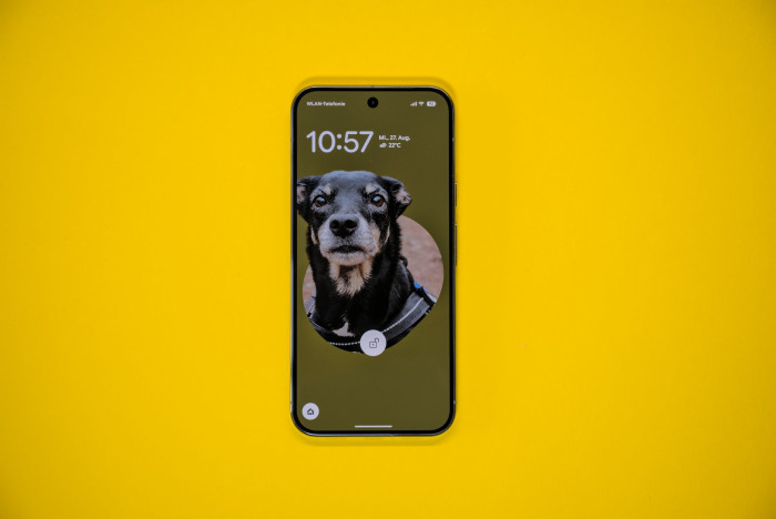 Beim Pixel 10 Pro XL kommt ein 6,8 Zoll großes Display zum Einsatz. (Bild: Tobias Költzsch/Golem)