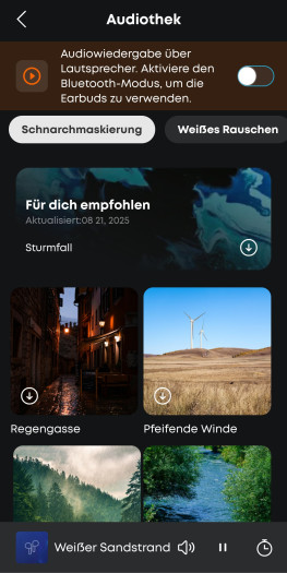 Es stehen verschiedene Maskierungsgeräusche zur Wahl, aber immer nur eines davon ist im lokalen Modus nutzbar. (Bild: Anker/Screenshot: Golem.de)