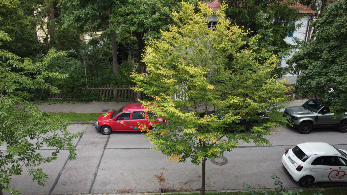 Vergleichsbild der DJI Mini 2 (Original in den Beispieldateien). (Bild: Steinlechner/Golem)