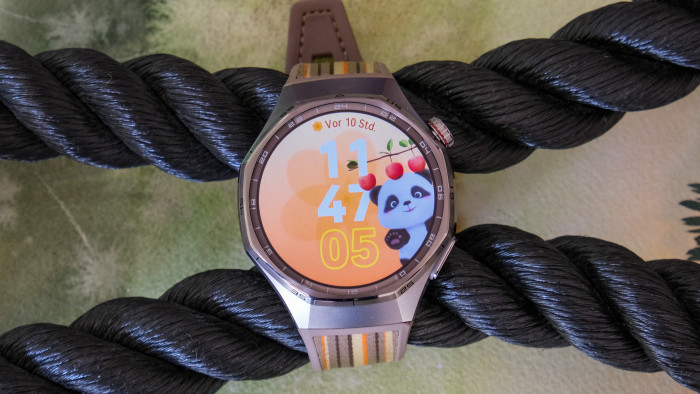 Dieser niedliche Panda schmachtet und passend zu unserem Gefühlsstatus an. (Bild: Steinlechner / Golem)