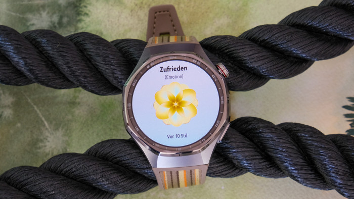 So schätzt die Watch unsere aktuellen Emotionen ein. (Bild: Steinlechner / Golem)