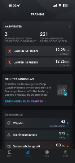 Hier sehen wir chronologisch unsere Aktiviäten. (Bild: Amazfit/Screenshot: Golem)