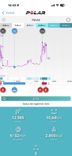 Alternativ gibt es auch eine Tageskurve. (Bild: Polar / Screenshot: Golem.de)