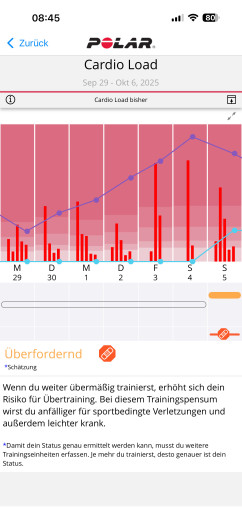 Diese Kurzve soll bei der Regeneration helfen. (Bild: Polar / Screenshot: Golem.de)