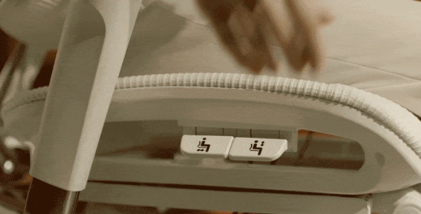 Cofo Premium 2 (Bild: Cofo)