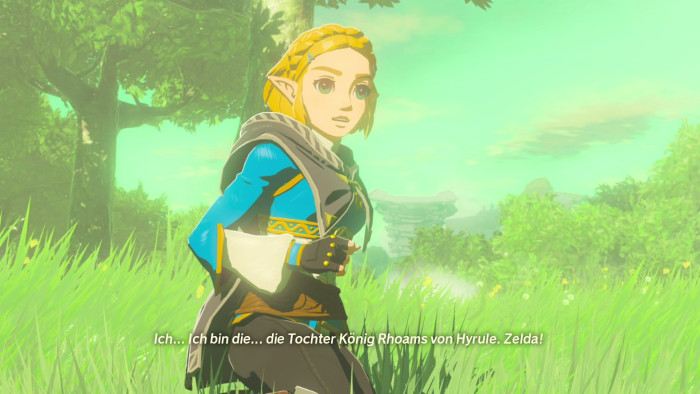 Prinzessin Zelda muss sich vorstellen - dafür gibt es Gründe. (Bild: Nintendo / Screenshot: Golem)
