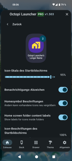 Diese Einstellungen gibt es im Octopi Launcher für die Startbildschirmseiten. (Bild: OctopiAppFactory/Screenshot: Golem)