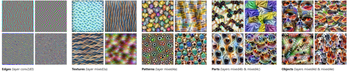 Convolutions sind darauf ausgelegt, aus einfachen Kanten in zunehmend tieferen Layern komplexe Strukturen wie Gesichter aufzubauen. Bei nachfolgenden Architekturen fehlt dieser hierarchische Bias, wodurch das Netz mehr Freiheit für seine Aufgabe bekommt, aber auch mehr Daten und Rechenleistung braucht (Bildquelle: distill.pub / Screenshot: Golem).