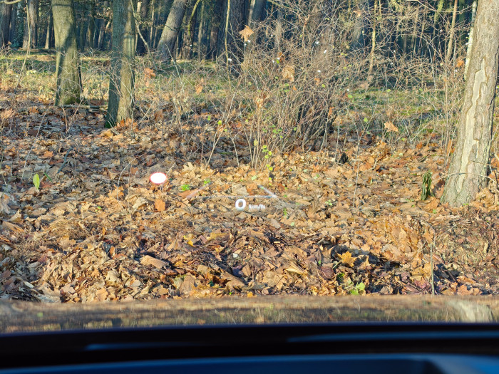 Unsere Testversion des EV4 hat ein Head-up-Display. (Bild: Martin Wolf/Golem)