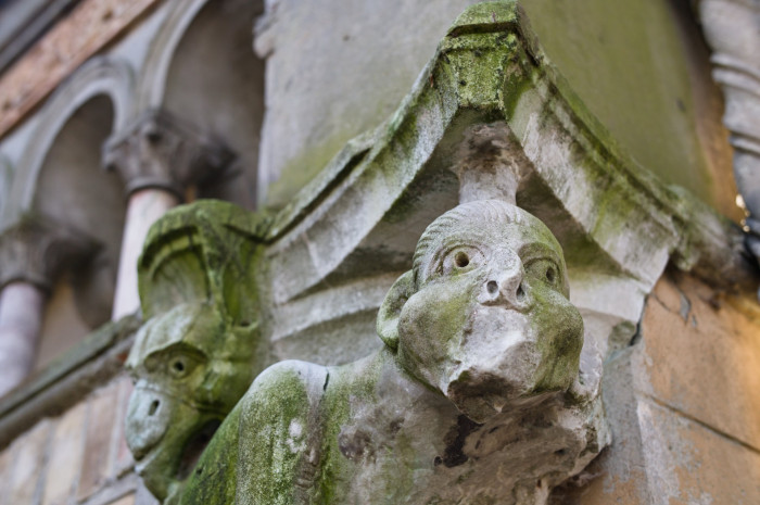 1/250 s, f/5,6, ISO 640 (Bild: Tobias Költzsch/Golem)