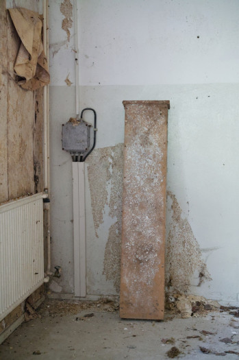 1/50 s, f/5,6, ISO 6400 (Bild: Tobias Költzsch/Golem)