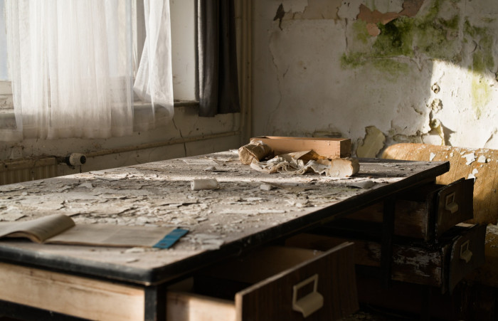 1/250 s, f/8, ISO 400 (Bild: Tobias Költzsch/Golem)