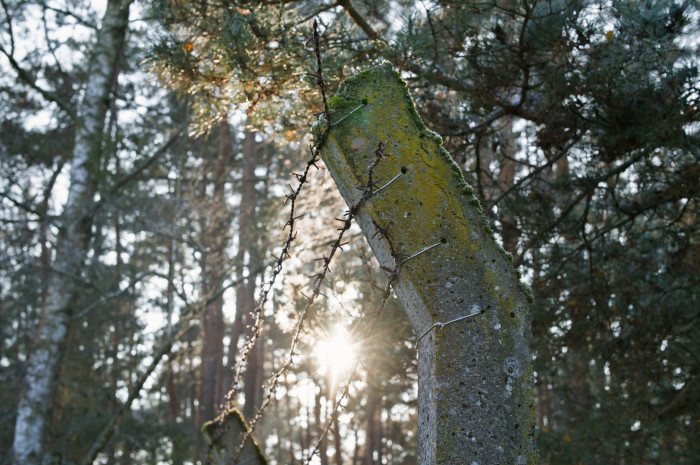 1/180 s, f/5,6, ISO 800 (Bild: Tobias Költzsch/Golem)