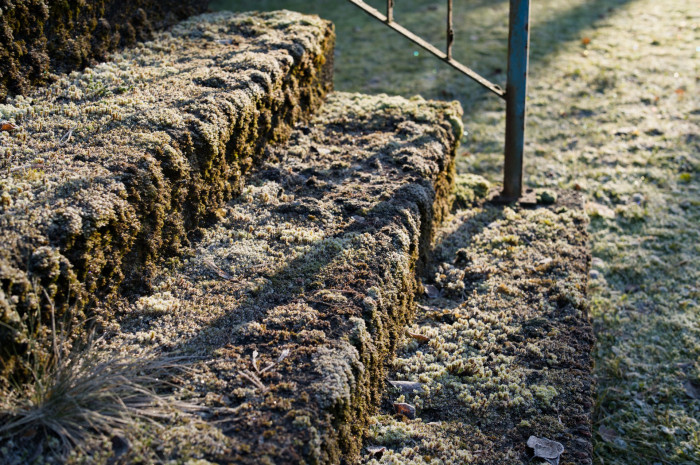 1/250 s, f/6,8, ISO 320 (Bild: Tobias Költzsch/Golem)