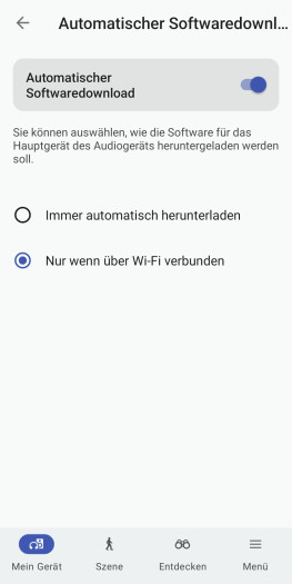 Firmware-Updates lassen sich bei Bedarf manuell installieren. (Bild: Sony/Screenshot: Golem)