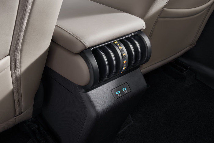 Die Klimasteuerung für die Rücksitze (Bild: BYD)