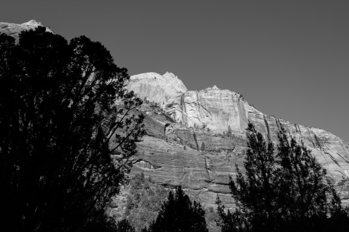 Vor allem Motive mit starken Schatten bildet die Q3 Monochrom gut ab. (Bild: Tobias Költzsch/Golem)