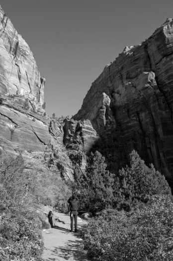 Die Schärfe der Aufnahmen ist sehr gut. (Bild: Tobias Költzsch/Golem)