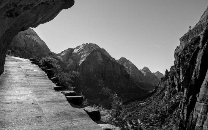 Auch Gegenlichtaufnahmen machen in der Nachbearbeitung keine Probleme. (Bild: Tobias Költzsch/Golem)