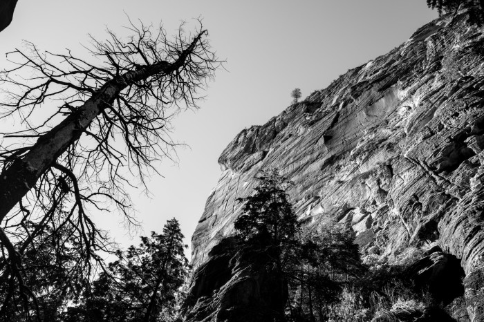 Das Summilux hat eine stimmige Randschärfe, die sich verbessert, je weiter wir die Blende schließen. (Bild: Tobias Költzsch/Golem)