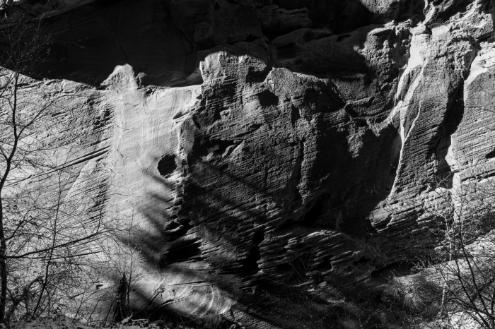 Auch feine Strukturen können herausgearbeitet werden. (Bild: Tobias Költzsch/Golem)