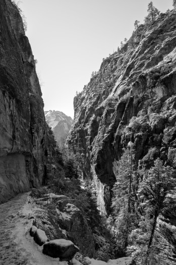 Schattige Bereiche lassen sich problemlos in der Nachbearbeitung nachbelichten. (Bild: Tobias Költzsch/Golem)