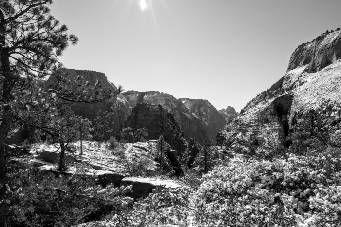 Auch hier haben wir direkt problemlos in die Sonne fotografiert. (Bild: Tobias Költzsch/Golem)