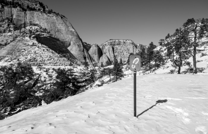 Das Summilux hat eine angenehme Hintergrundschärfe, die sich auch nur schwach einsetzen lässt. (Bild: Tobias Költzsch/Golem)