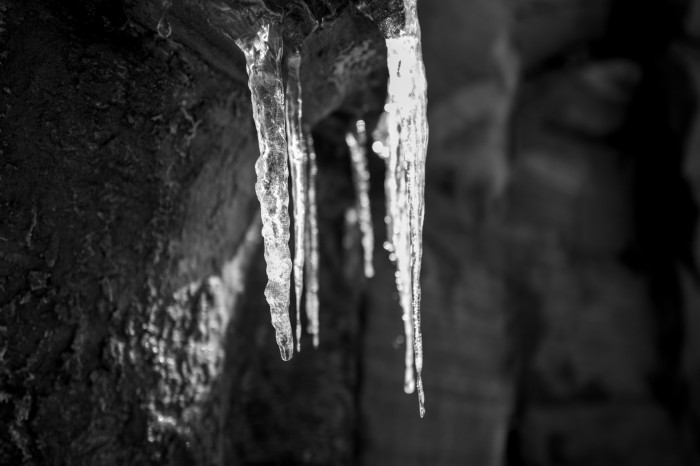 Vor allem Low-Light-Aufnahmen gelingen mit der Q3 Monochrom. (Bild: Tobias Költzsch/Golem)