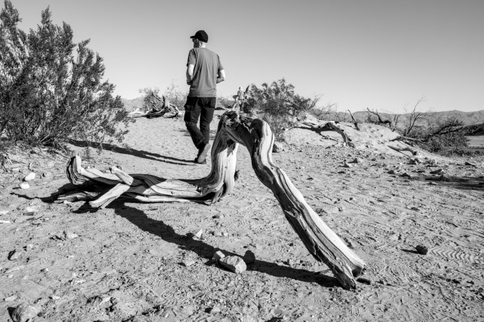 Auch hier ist zu erkennen: Dunkle Schatten auf hellen Untergründen wirken in schwarz-weiß immer. (Bild: Tobias Költzsch/Golem)