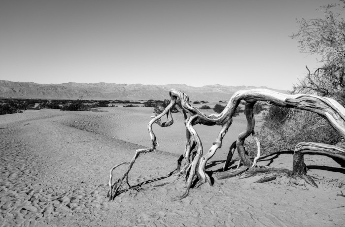 Für ein nicht wechselbares Objektiv halten wir die gewählte Brennweite von 28 mm für ideal. (Bild: Tobias Költzsch/Golem)