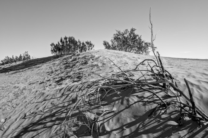 Auch hier sind die Strukturen schön wiedergegeben. (Bild: Tobias Költzsch/Golem)