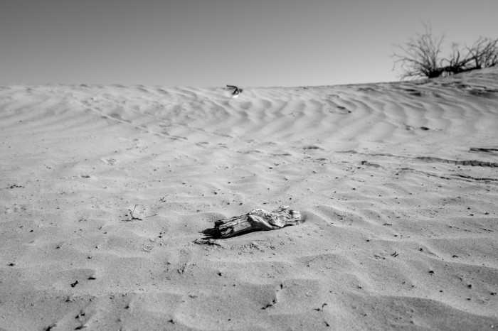 Die Hintergrundunschärfe lässt sich problemlos über den elektronischen Sucher steuern. (Bild: Tobias Költzsch/Golem)