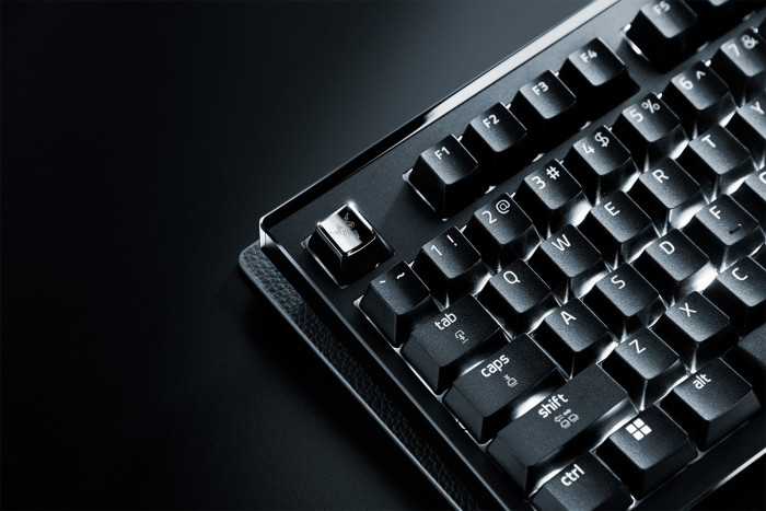 Die Huntsman Signature Edition (Bild: Razer)