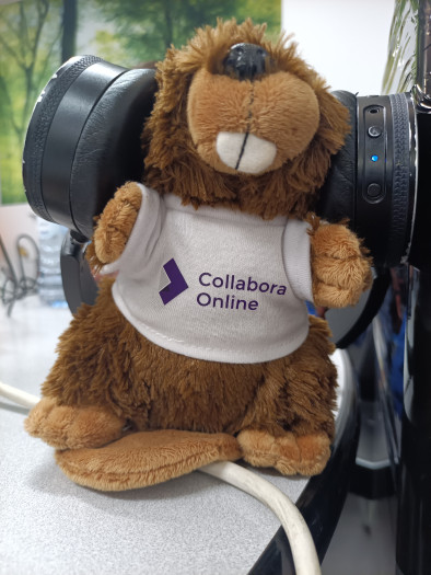 Jede Menge Swag und Kuscheltiere finden ein neues Zuhause. (Bild: Markus Feilner)