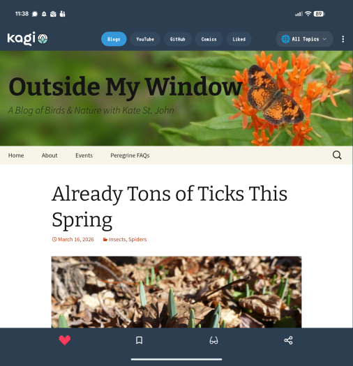 In der App lassen sich Small-Web-Internetseiten per Swipe durchgehen. (Screenshot: Golem)