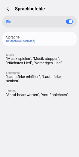 Bei der Sprachsteuerung müssen sich Nutzer sklavisch an diese Befehle halten. (Bild: Samsung/Screenshot: Golem)