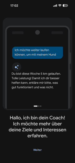 Bei der Installation von Air werde ich nach meinen Zielen gefragt. (Bild: Google / Screenshot: Golem)