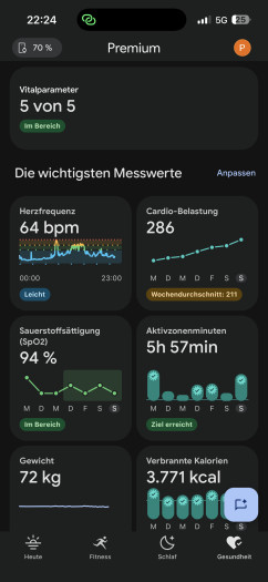 Hier die Vitalwerte, die Air ermittelt hat (Bild: Google / Screenshot: Golem)