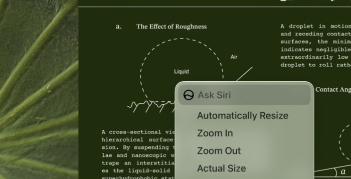 Ein systemweites Kontext-Menü kann auf dem Mac jetzt Dateien und Inhalte an die KI übergeben. (Bild: Apple / Screenshot: Christian Rentrop)