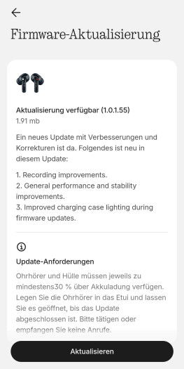 Firmware-Updates für die Ear (3a) sind nach wenigen Minuten installiert und sie können bei Bedarf manuell vorgenommen werden. (Bild: Nothing/Screenshot: Golem)