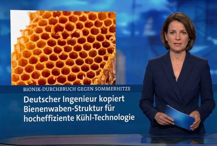 Sieht aus, als hätte die Tagesschau über Lukas Webers Erfindung berichtet, oder? Ist aber KI-generiert. (Bild: Solyball)