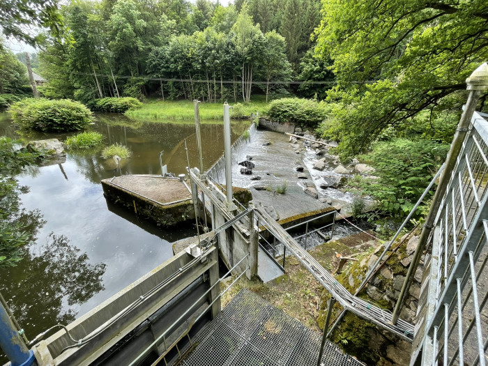 Wehranlage mit Fischtreppe (Quelle: Golem/Mario Petzold)