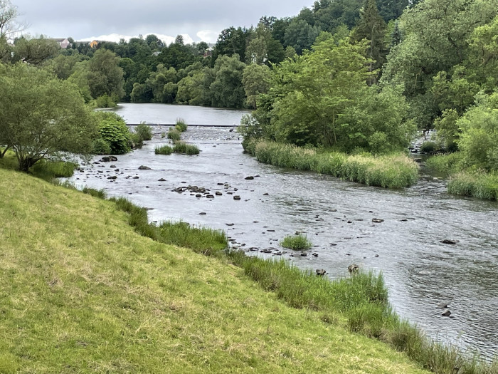 Zwickauer Mulde und Wehranlage vor der Wasserkraftanlage in Lunzenau (Quelle: Golem/Mario Petzold)